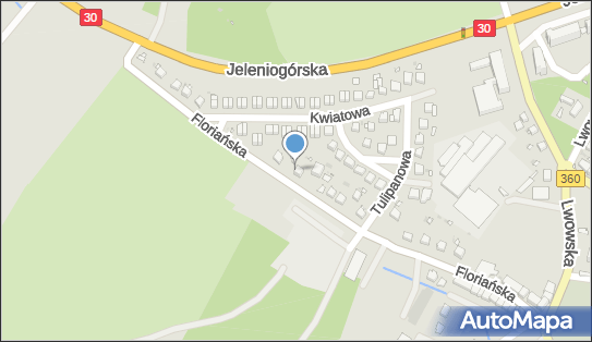 Transport Mechaniczny i Handel Detaliczny, ul. Floriańska 34 59-620 - Przedsiębiorstwo, Firma, NIP: 6161030009