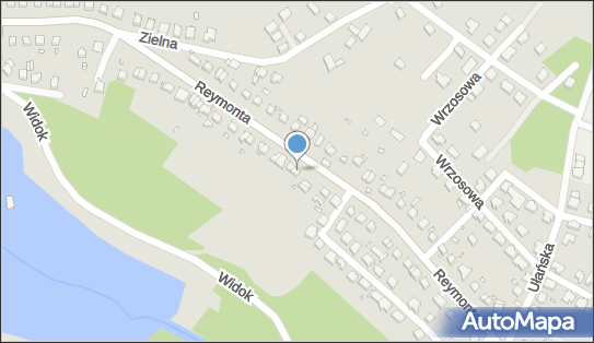 6151150947, Transport Osobowy Taxi nr Boczny 290 Romuald Pawłowski 