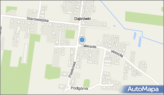 Transport Samochodem Ciężarowym, Dąbrówki 30, Dąbrówki 16-010 - Przedsiębiorstwo, Firma, NIP: 9661105166