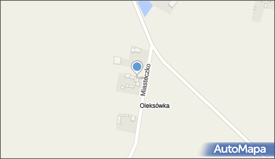 7961049169, Marian Oleksiewicz Transport Samochodowy, Handel 