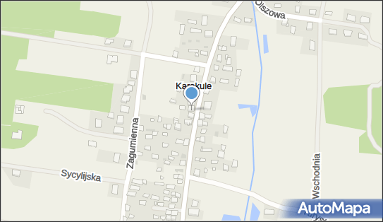 050878844, Transport Samochodowy Jan Świrydowicz 