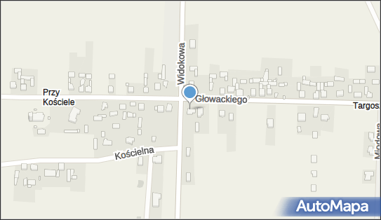Transport Samochodowy, ul. Głowackiego 39, Mierzęcice 42-460 - Przedsiębiorstwo, Firma, NIP: 6491370895
