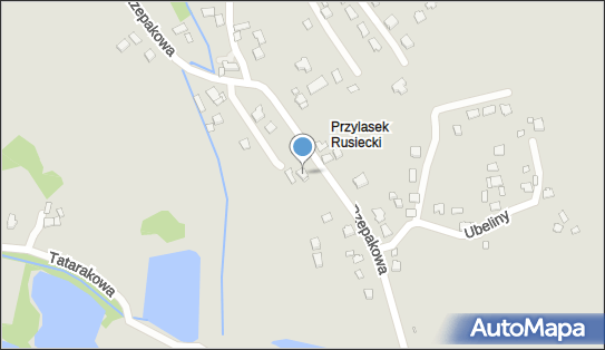 Transport Towarowy, Rzepakowa 8a, Kraków 31-989 - Przedsiębiorstwo, Firma, NIP: 6781924675