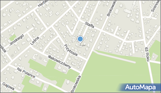 Transport Towarowy, ul. Kornela Makuszyńskiego 32 07-300 - Przedsiębiorstwo, Firma, NIP: 7590006791