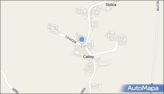 6821006113, Transport Towarów Adamczyk Józef 