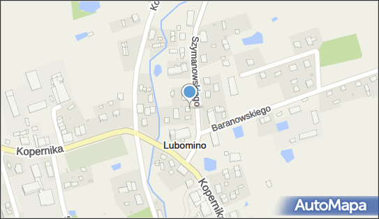 Transport Usługowy, ul. Szymanowskiego 3, Lubomino 11-135 - Przedsiębiorstwo, Firma, NIP: 7391092492
