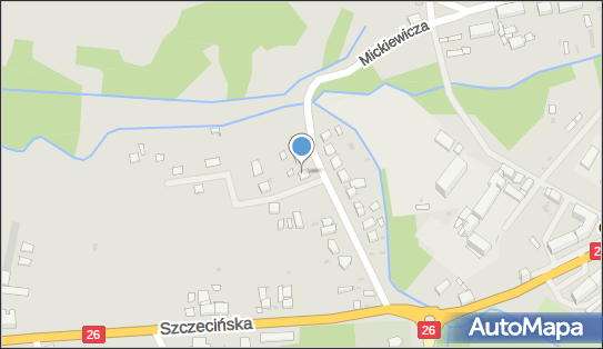 Transport Zarobkowy Czerwonka Leszek, ul. Mickiewicza 6, Chojna 74-500 - Przedsiębiorstwo, Firma, NIP: 8581002110