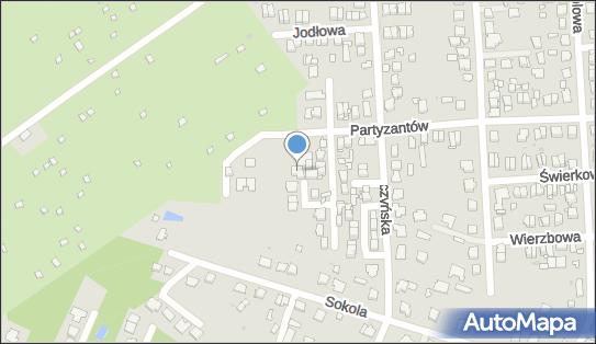 Treedoctor wycinka drzew, Ogrodów Działkowych 28b, Wołomin 05-200 - Przedsiębiorstwo, Firma, numer telefonu