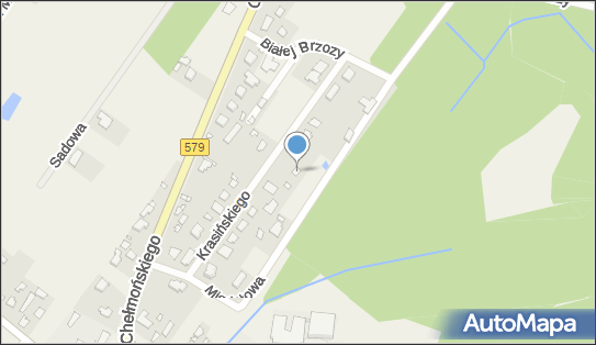 Trena Magdalena Kaczorowska, ul. Edwarda Krasińskiego 20 96-325 - Przedsiębiorstwo, Firma, NIP: 8381748448