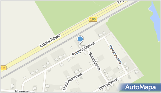 Trimex Przedsiębiorstwo Usługowe Ratajczak Tomasz, Łopuchowo 62-095 - Przedsiębiorstwo, Firma, NIP: 9720409035
