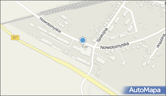 Truh Adamski Dariusz, Nowotomyska 33, Opalenica 64-330 - Przedsiębiorstwo, Firma, NIP: 7881781023