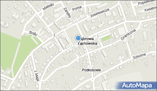 Trzy Kulki, Rynek 23, Dąbrowa Tarnowska 33-200 - Przedsiębiorstwo, Firma, NIP: 8711259564