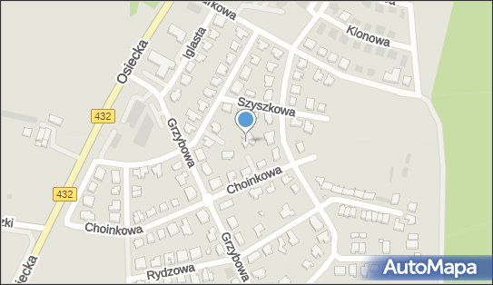 Tyliński Arkadiusz, ul. Choinkowa 21, Leszno 64-100 - Przedsiębiorstwo, Firma, NIP: 6971443370