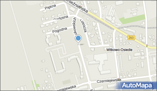 U Mirki, ul. Braci Łukowskich 1, Witkowo 62-230 - Przedsiębiorstwo, Firma, NIP: 6670006864