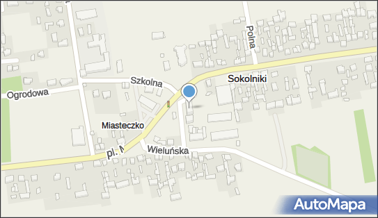 Uczniowski Klub Sportowy Smerf w Sokolnikach, Sokolniki 98-420 - Przedsiębiorstwo, Firma, numer telefonu, NIP: 9970082960