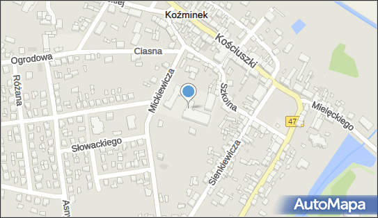 Uks ''''Koźminianka, Szkolna 1, Koźminek 62-840 - Przedsiębiorstwo, Firma, numer telefonu, NIP: 9680731433