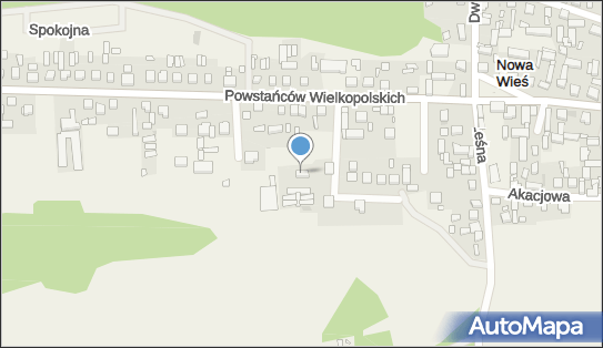 Uprawa Grzybów Dominik Pauch Nowa Wieś, Nowa Wieś 64-234 - Przedsiębiorstwo, Firma, NIP: 6981260783