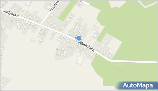 Uprawa Grzybów Piotr Tomiak, ul. Stradyńska 72, Kębłowo 64-200 - Przedsiębiorstwo, Firma, numer telefonu, NIP: 9231531943