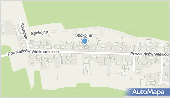 Uprawa Grzybów Zbigniew Jąder Nowa Wieś, Nowa Wieś 64-234 - Przedsiębiorstwo, Firma, NIP: 6981384918