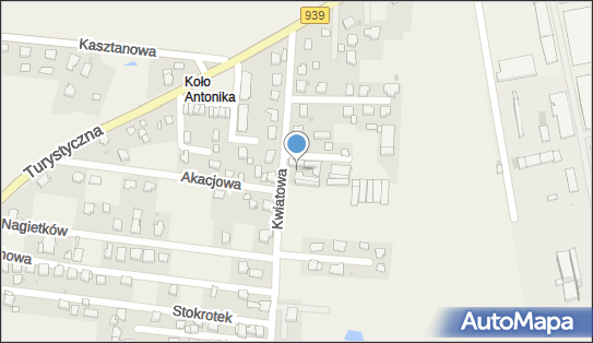 Uprawa Pieczarek Grygierczyk Ryszard, Dąbrowszczaków 21, Łąka 43-241 - Przedsiębiorstwo, Firma, NIP: 6381070005