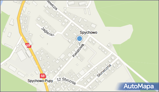 Uprawa Pieczarek Zawalich Kazimierz, ul. Kwiatowa 15, Spychowo 12-150 - Przedsiębiorstwo, Firma, NIP: 7451463102