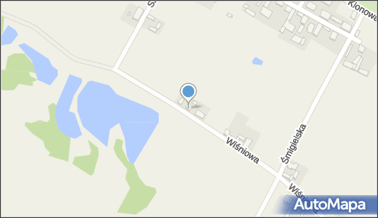 Uprawa Warzyw Monika Piotrowicz, Wiśniowa 4, Kobylniki 64-000 - Przedsiębiorstwo, Firma, NIP: 6981022894