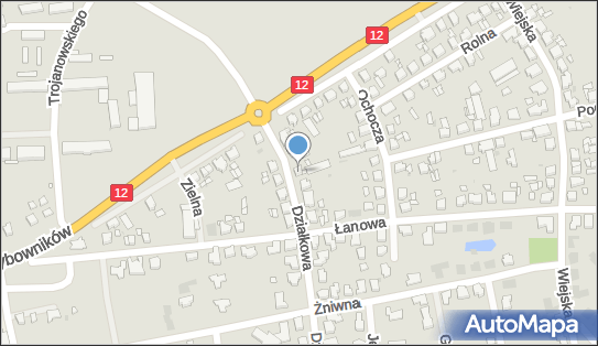 6971231254, Uprawa Warzyw Ryszard Lewandowski, Leszno 