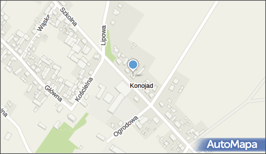 411107458, Uprawa Warzyw Ryszard Maciejak, Konojad 