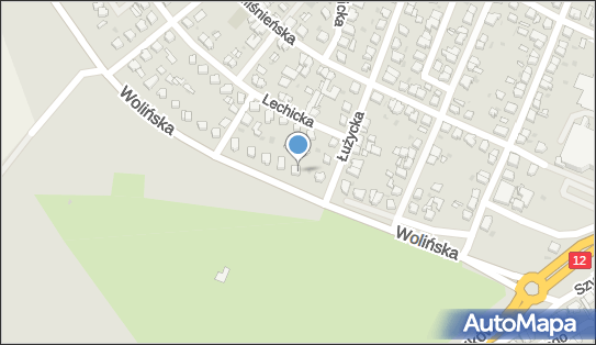 Uprawa Warzyw Sławomir Dziedzic Leszno, ul. Wolińska 9, Leszno 64-100 - Przedsiębiorstwo, Firma, numer telefonu, NIP: 6971013178