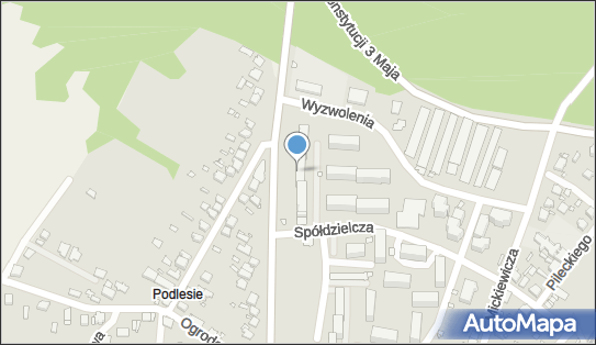 Usł Transportowe Zabezpieczenie Pojazdów przed Kradzieżą, Łazy 42-450 - Przedsiębiorstwo, Firma, NIP: 6491371044