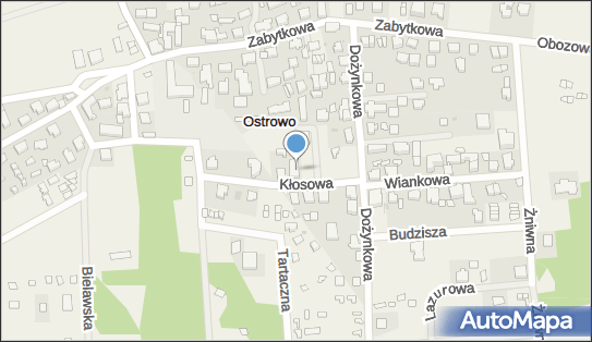 Usługi Autokarowe, ul. Kłosowa 8, Ostrowo 84-105 - Przedsiębiorstwo, Firma, NIP: 5871016478