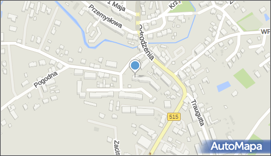 Usługi Budowlane, Instalatorstwo Sanit., C.O.i Gaz Henryk Mioduński 82-440 - Przedsiębiorstwo, Firma, NIP: 5791204315