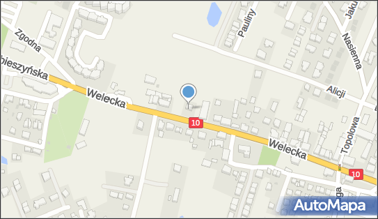 Usługi Geodezyjne i Hydrograficzne, Welecka 20a, Mierzyn 72-006 - Przedsiębiorstwo, Firma, NIP: 8521719181