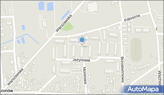 Usługi Geodezyjne i Kartograficzne Mariusz Ostrowski, Północna 8 96-320 - Przedsiębiorstwo, Firma, NIP: 8381641986