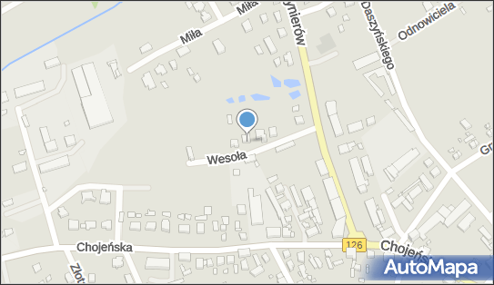 Usługi Geodezyjne, Wesoła 4, Dębno 74-400 - Przedsiębiorstwo, Firma, NIP: 5971308163