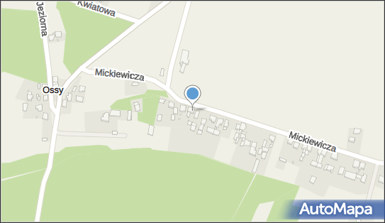 Usługi Geodezyjno Kartograficzne, ul. Adama Mickiewicza 40, Ossy 42-624 - Przedsiębiorstwo, Firma, NIP: 6451533405