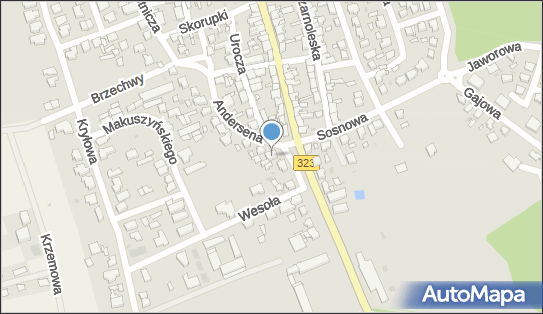 Usługi Grabarskie Stefan Jakubowski Leszno, Leszno 64-100 - Przedsiębiorstwo, Firma, NIP: 6971092462