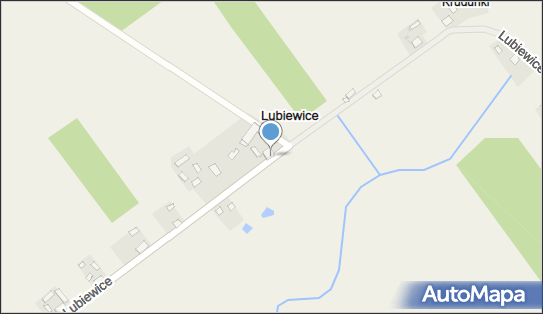 Usługi i Naprawa Pojazdów Dariusz Niemczewski, Lubiewice 27 89-526 - Przedsiębiorstwo, Firma, NIP: 5611345742