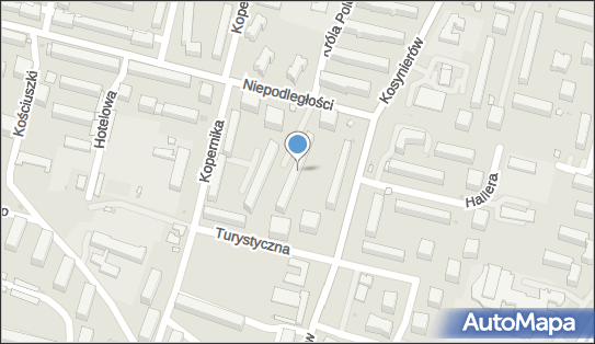 7131209075, Usługi Instalacyjno Remontowe Piotr Kopczyński 