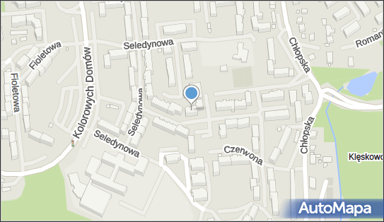 9551529238, Usługi Kierowania Pojazdami Szynowymi - Motorniczy Jacek Cichowski 