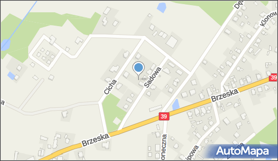 160182110, Usługi Leśne i Melioracyjne Piotr Kraus 