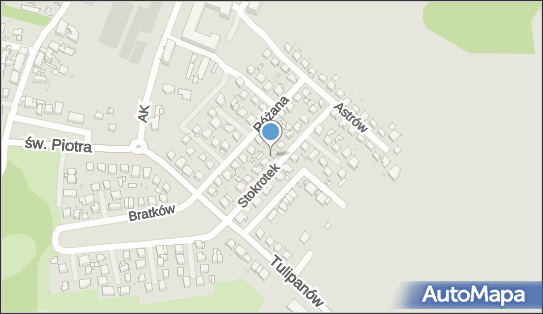 6262470721, Usługi Marketingowe Ziaja Rafał 