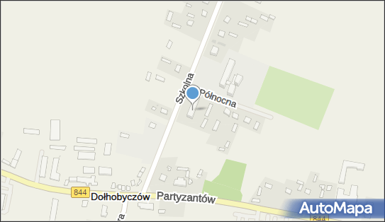 Usługi Menadżerskie - Bernarda Frykowska, Szkolna 2, Dołhobyczów 22-540 - Przedsiębiorstwo, Firma, NIP: 9191109361