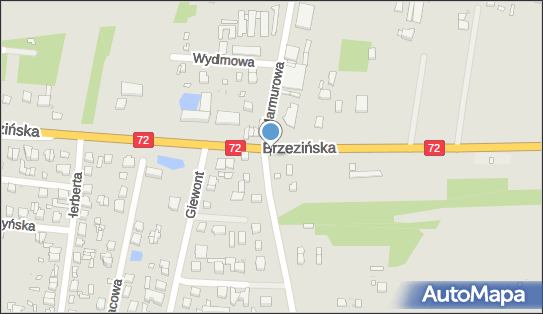 Usługi Motoryzacyjne, Brzezińska 107, Łódź 92-118 - Przedsiębiorstwo, Firma, NIP: 7282178444