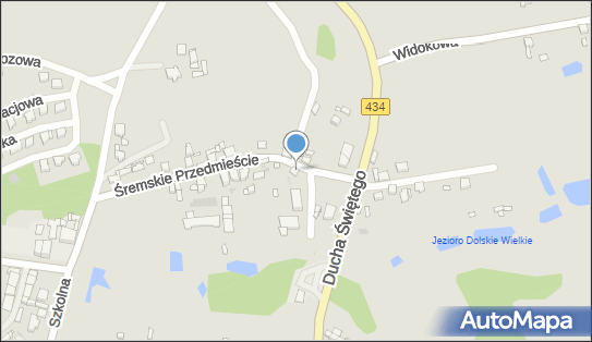 Usługi Pielegniarskie, ul. Śremskie Przedmieście 32, Dolsk 63-140 - Przedsiębiorstwo, Firma, NIP: 7851061436