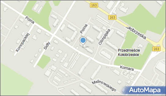 Usługi Płachta Tadeusz, Polna 7, Białogard 78-200 - Przedsiębiorstwo, Firma, NIP: 6721464112