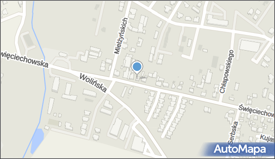 Usługi Projektowe, Święciechowska 79, Leszno 64-100 - Przedsiębiorstwo, Firma, NIP: 6971073795