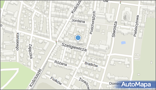 9541027363, Kicior Leszek, Usługi Przewozowe 