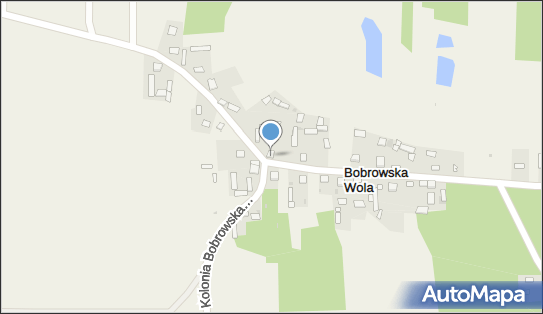 Usługi Remontowo- Budowlane Tomasz Skórnicki, Bobrowska Wola 17 29-120 - Przedsiębiorstwo, Firma, NIP: 6090056822