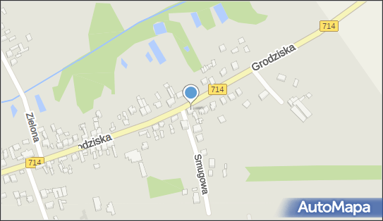 Usługi Spedycyjne, Grodziska 93, Rzgów 95-030 - Przedsiębiorstwo, Firma, NIP: 7291551776